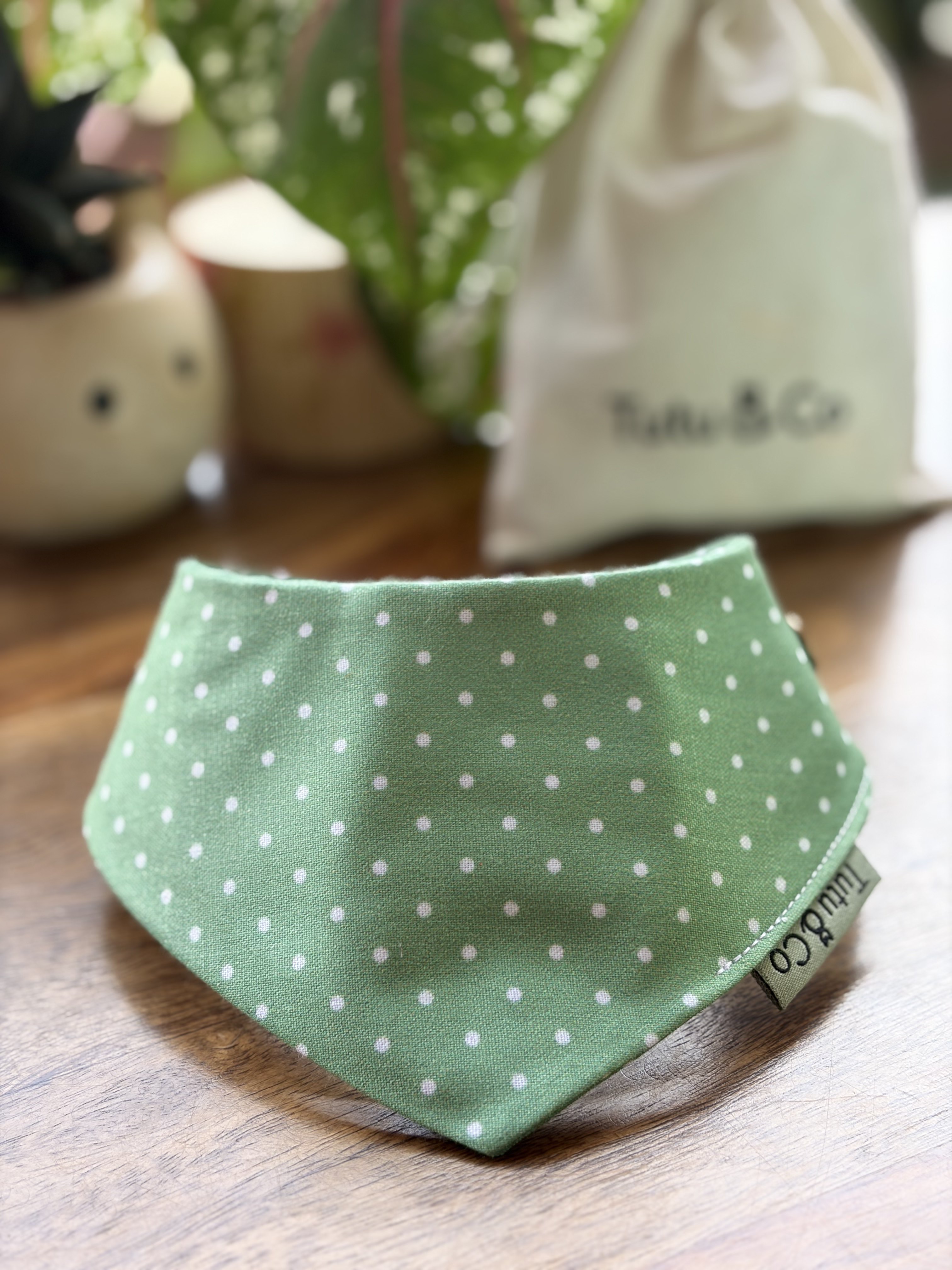 Pista Polka