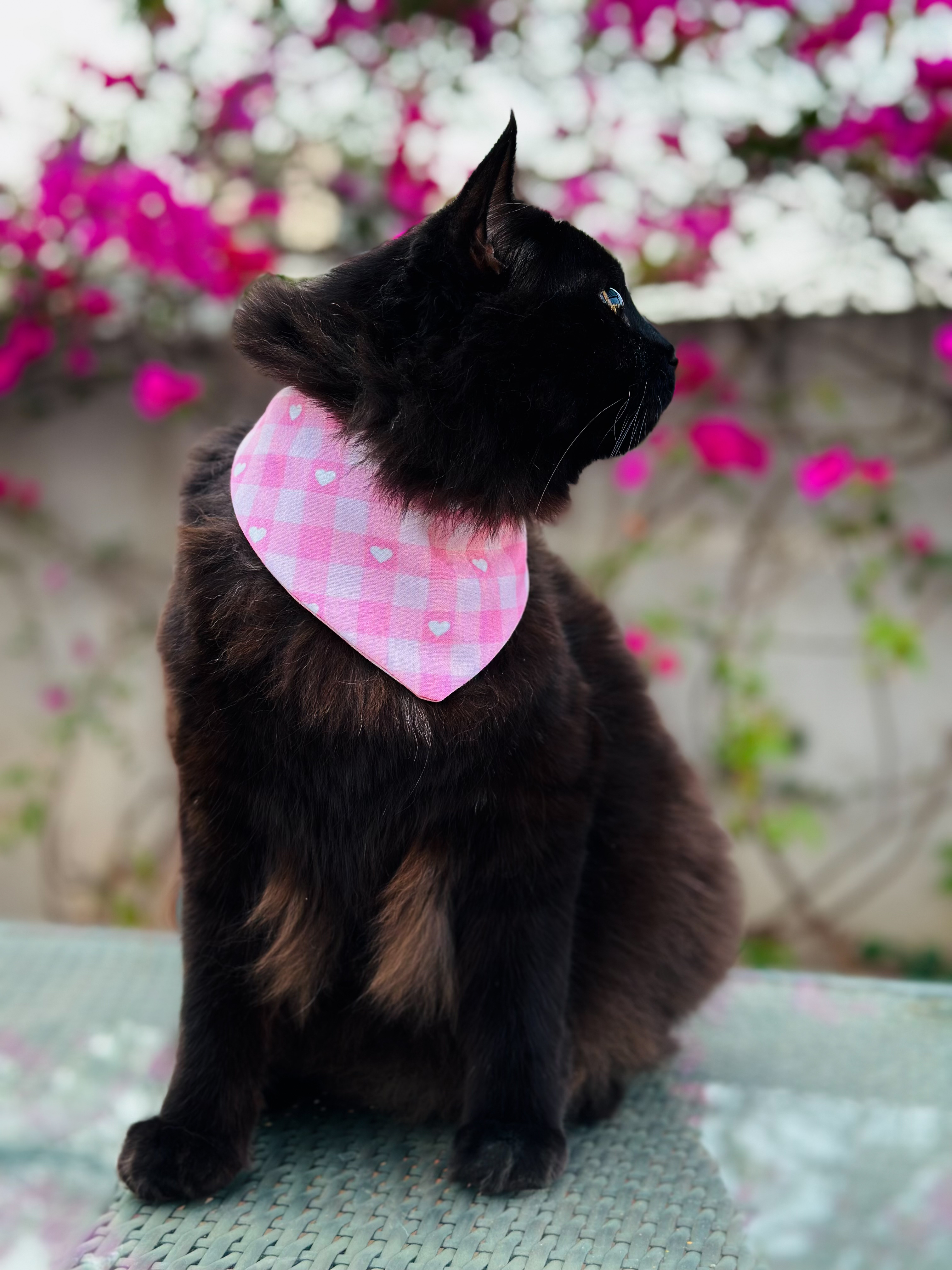 Pink hearts test 1 thumbnail 2