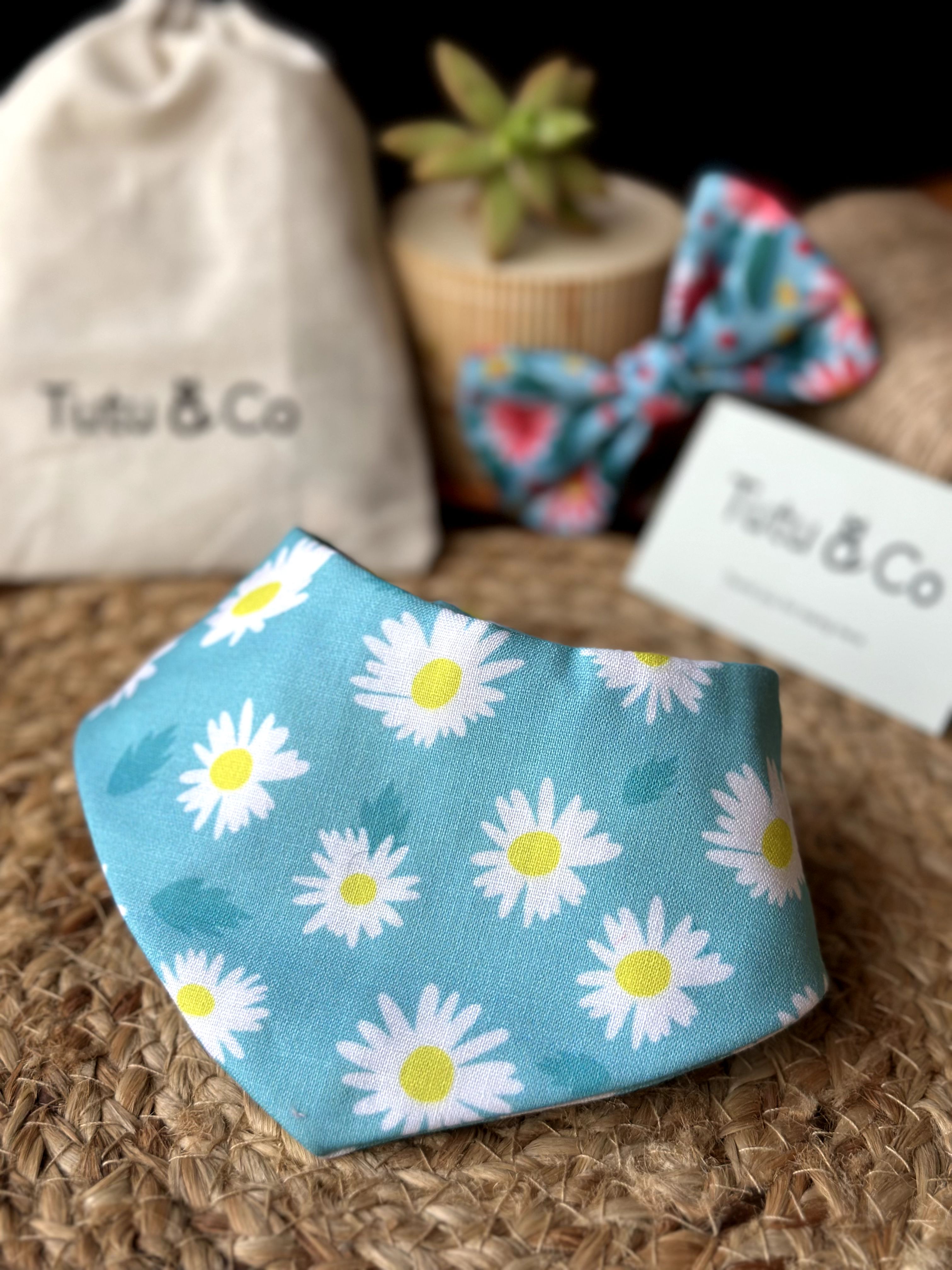 Daisy Bloom